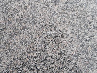 皇室珍珠 皇室珍珠