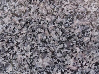 皇室珍珠 皇室珍珠