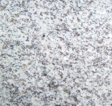 山東白麻 山東白麻