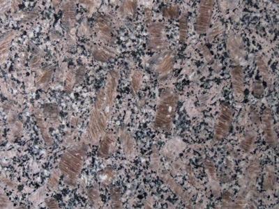 皇室玫瑰 皇室玫瑰