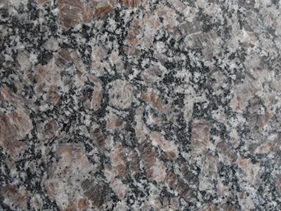 皇室玫瑰 皇室玫瑰